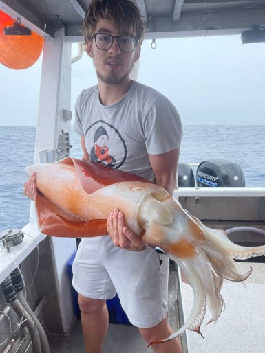 YUR calmar rhomboïdal pêché à Sainte Marie Maxime Demouge