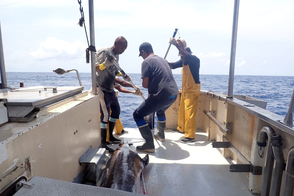 programme de collecte de données de pêche